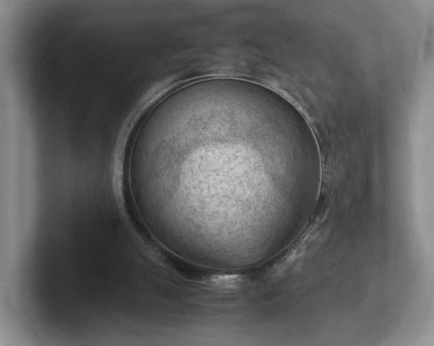 X0000102390055200808081236