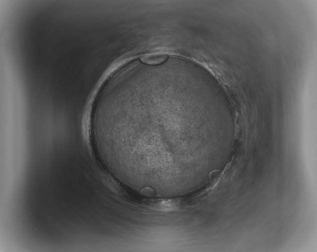 X0000102390056200808081236