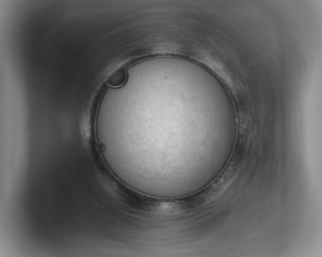 X0000102390060200808081236