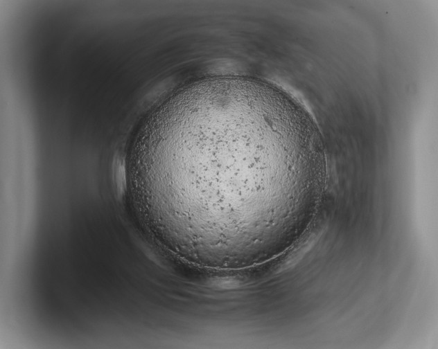 X0000102390061200808081236