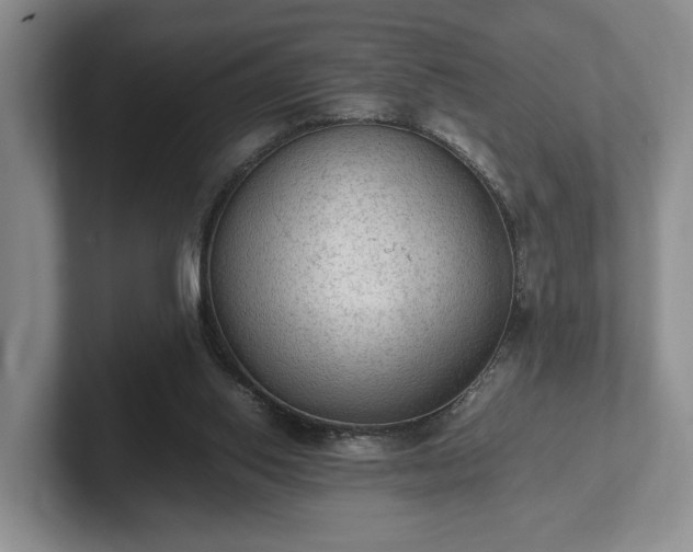 X0000102390062200808081236