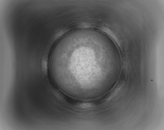 X0000102390063200808081236