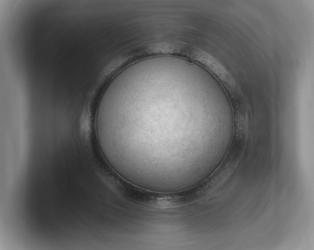 X0000102390064200808081236