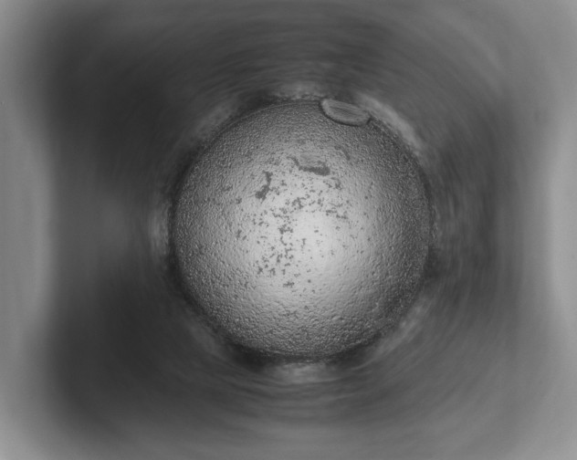 X0000102390065200808081236