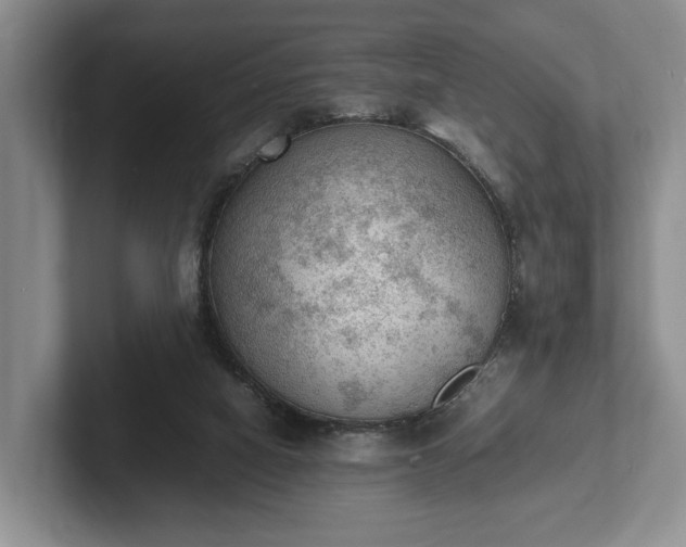 X0000102390066200808081236