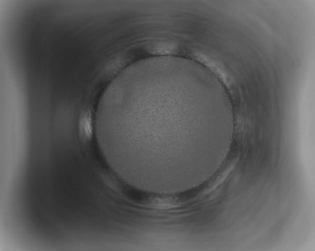 X0000102390069200808081236