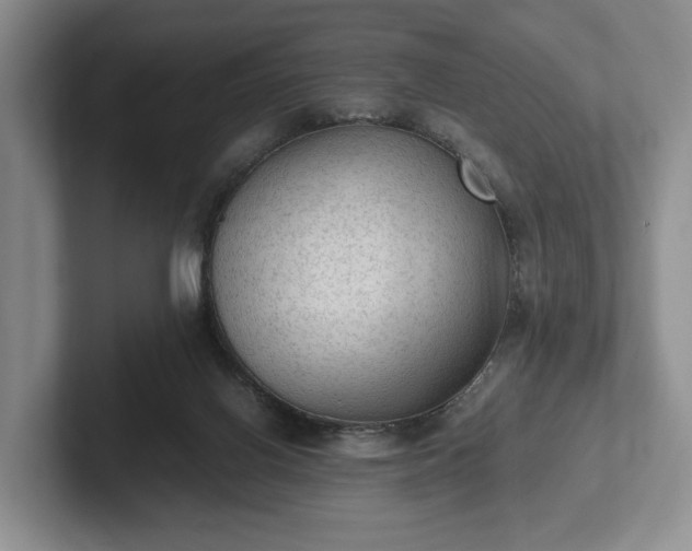 X0000102390070200808081236