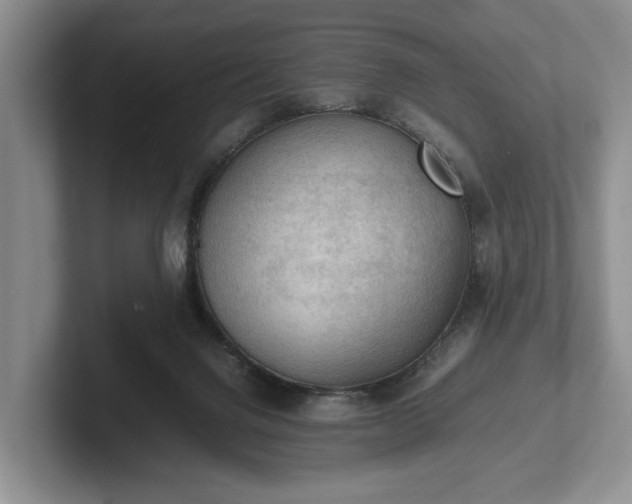 X0000102390072200808081236