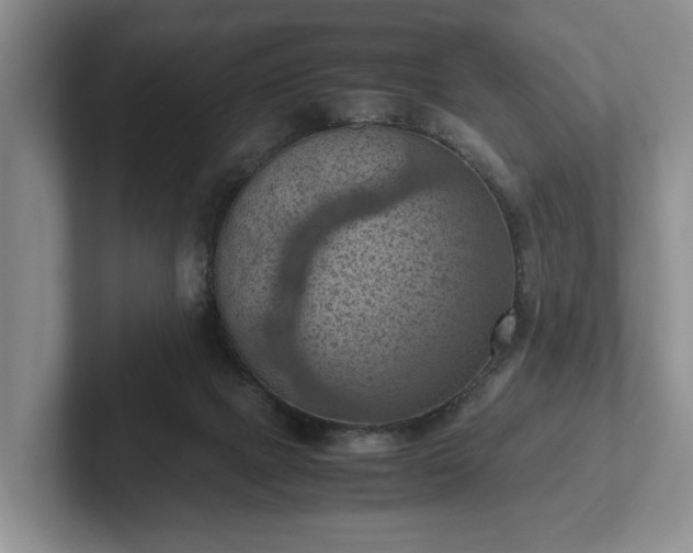 X0000102390073200808081236