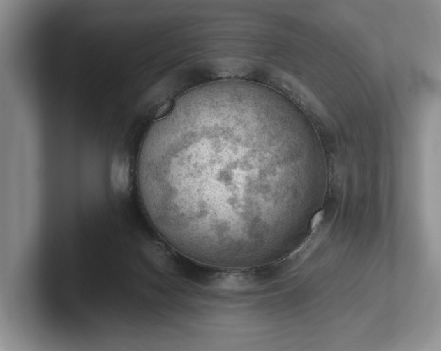 X0000102390074200808081236