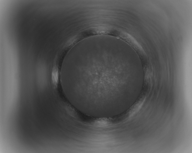 X0000102390076200808081236