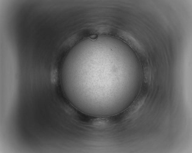 X0000102390077200808081236