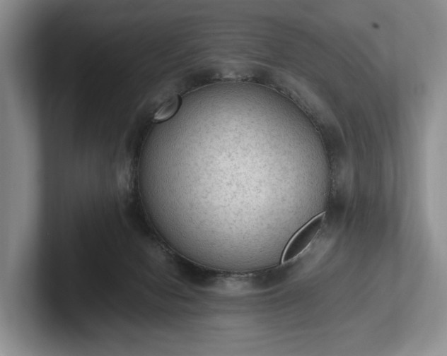 X0000102390078200808081236