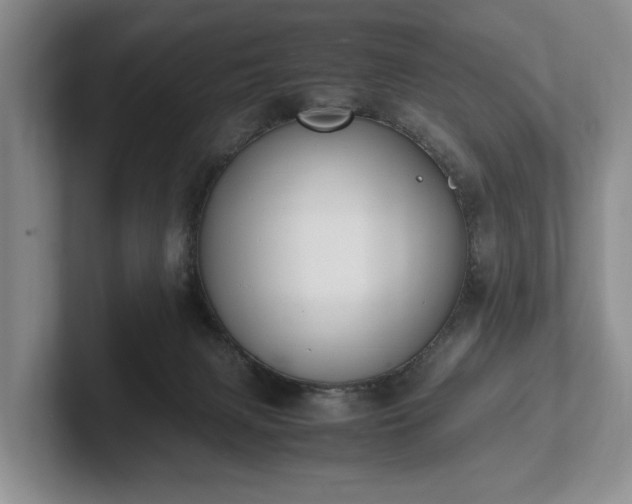 X0000102390079200808081236