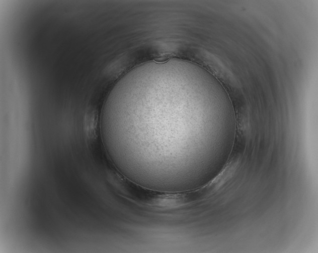 X0000102390082200808081236