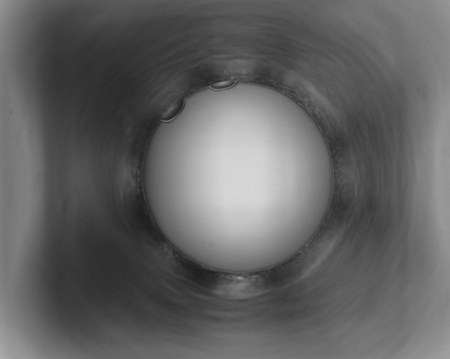 X0000102390083200808081236