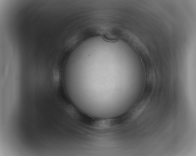 X0000102390084200808081236