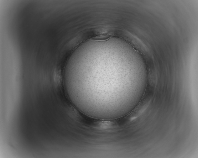 X0000102390085200808081236