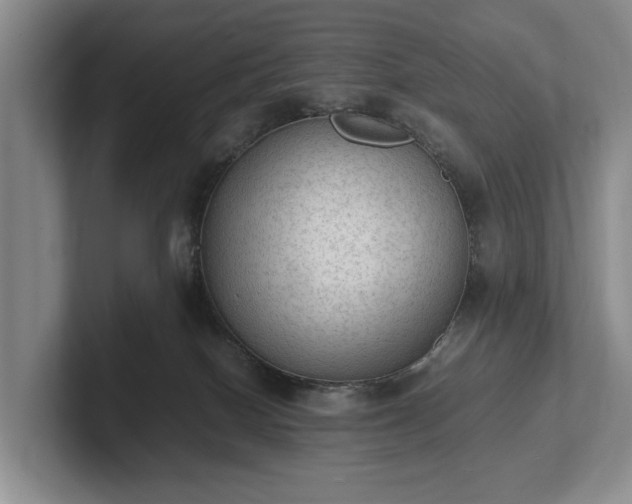 X0000102390086200808081236