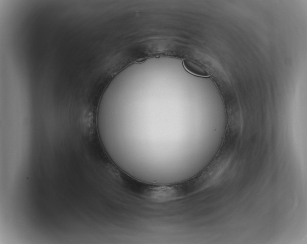 X0000102390087200808081236