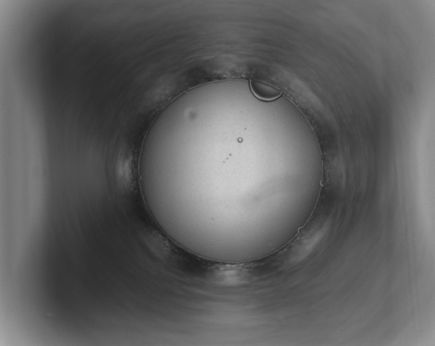 X0000102390088200808081236