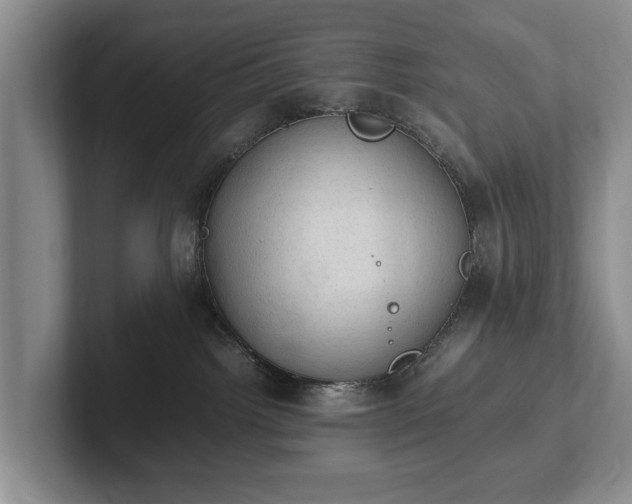 X0000102390092200808081236