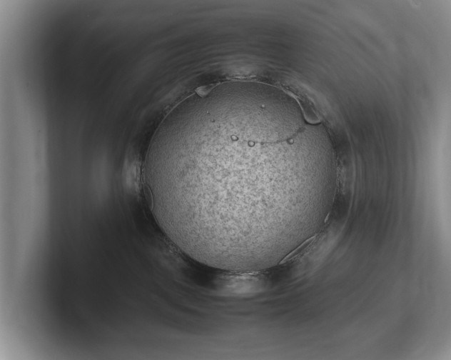 X0000102390093200808081236