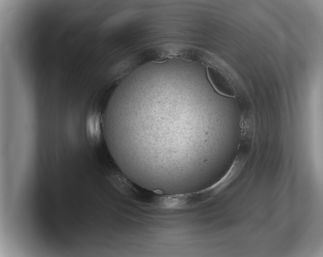 X0000102390094200808081236