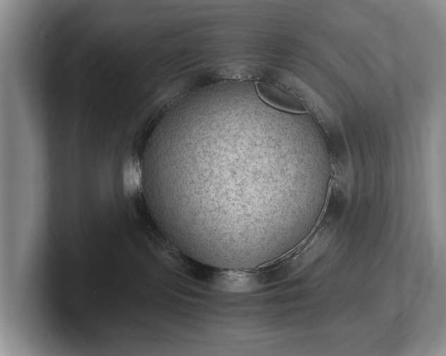 X0000102390095200808081236