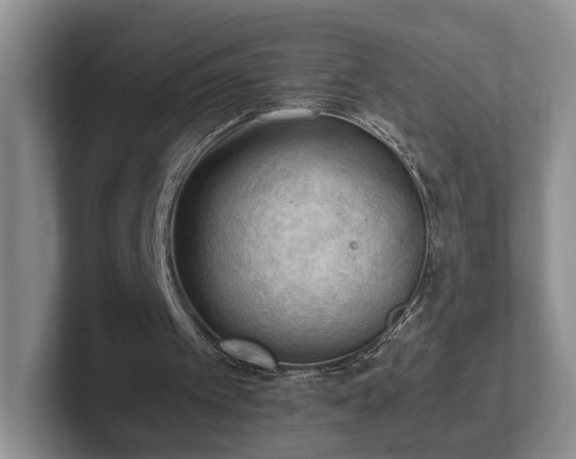 X0000102390097200808081235