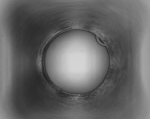 X0000102390098200808081235