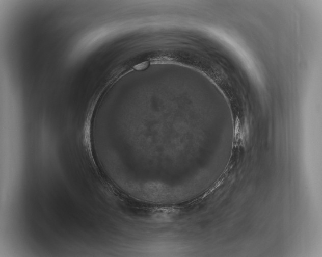 X0000102390099200808081235