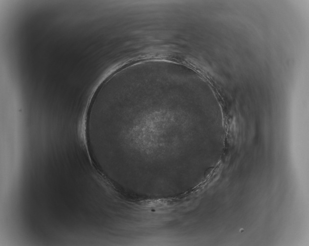 X0000102390100200808081235