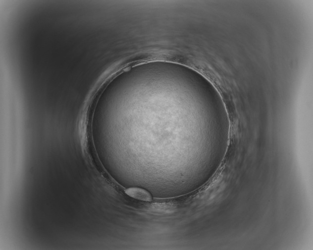 X0000102390101200808081235