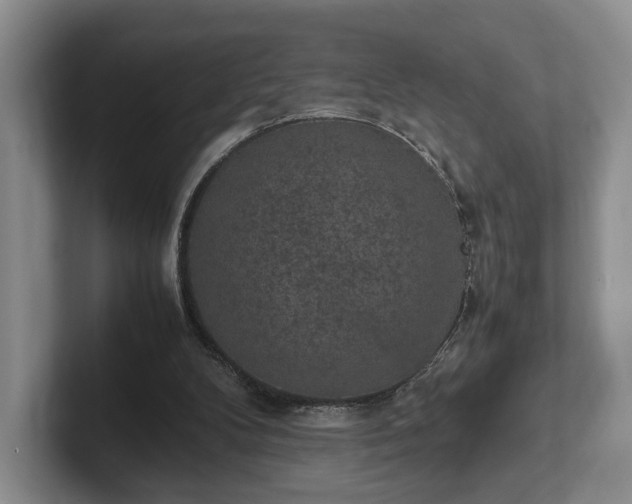 X0000102390104200808081235