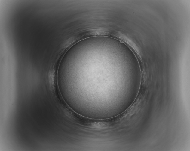 X0000102390105200808081235