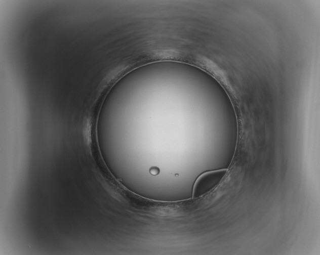 X0000102390106200808081235