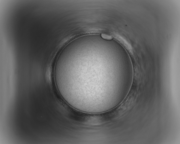 X0000102390107200808081235