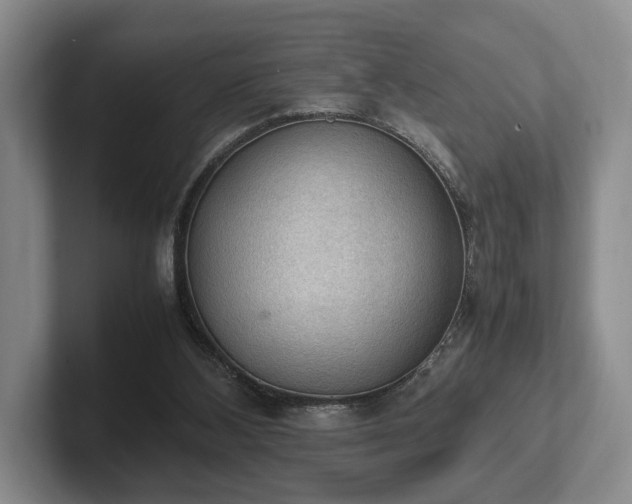 X0000102390108200808081235