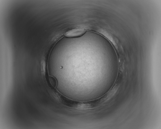 X0000102390109200808081235