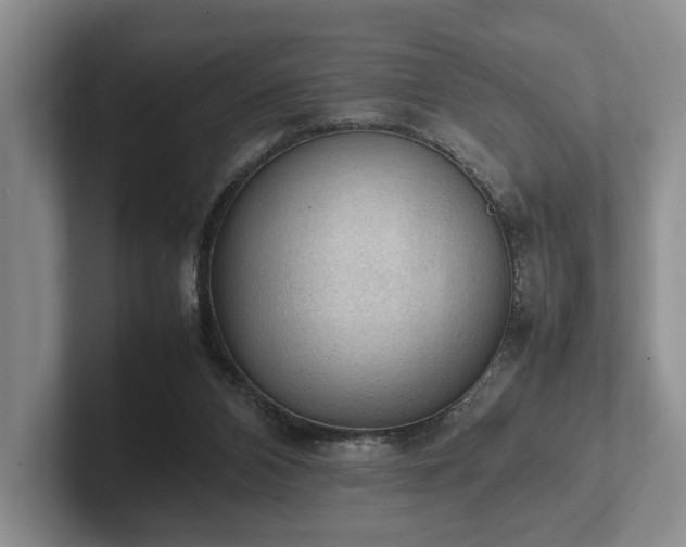 X0000102390112200808081235