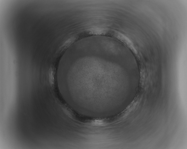 X0000102390114200808081235