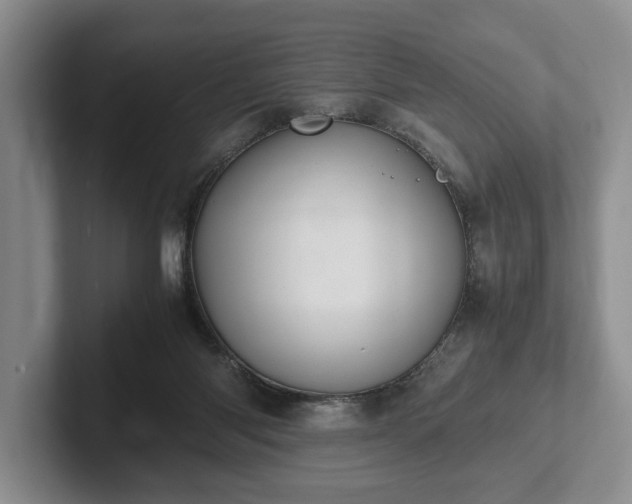 X0000102390118200808081235