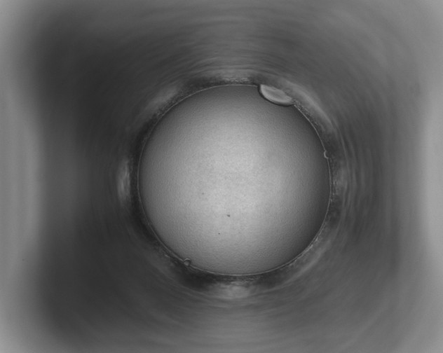 X0000102390120200808081235