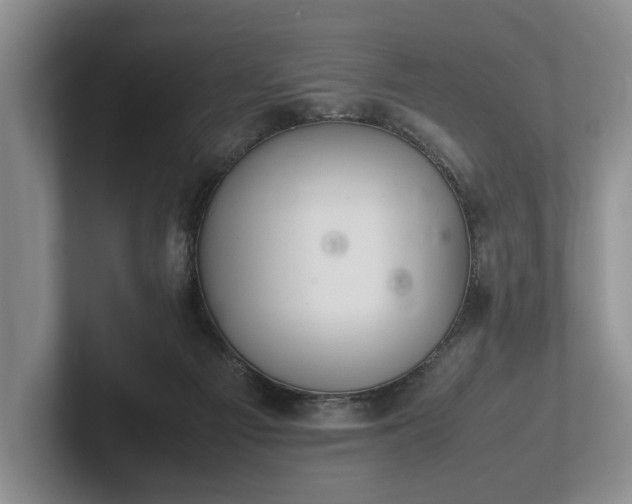 X0000102390121200808081235