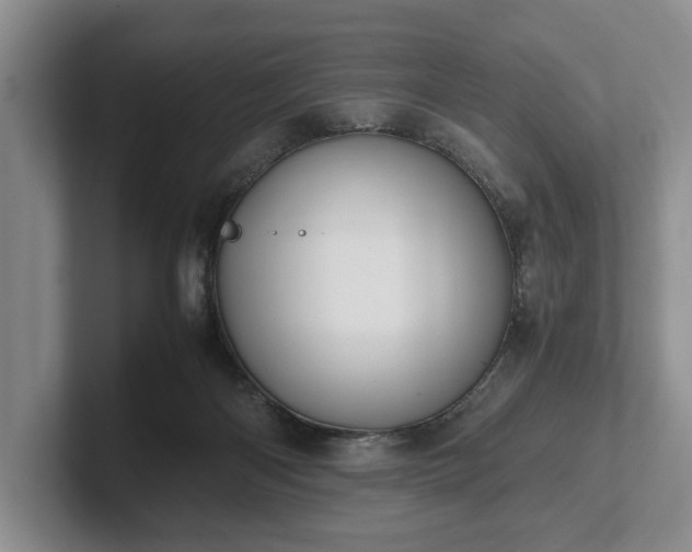 X0000102390122200808081235