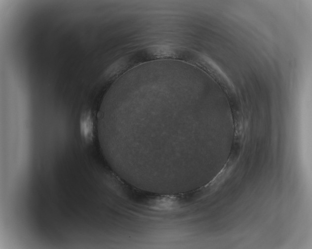 X0000102390124200808081235