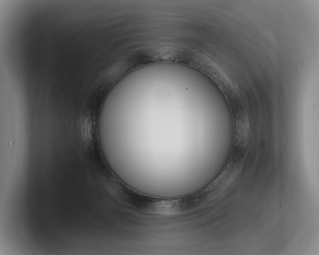 X0000102390126200808081235