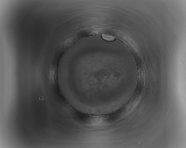 X0000102390127200808081235