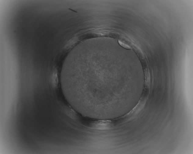 X0000102390128200808081235